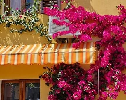 Appartamento In The Heart Of Tuscany Monsummano Terme Buitenkant foto